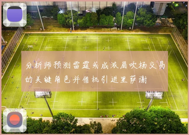 分析师预测雷霆或成浓眉吹杨交易的关键角色并借机引进里萨谢